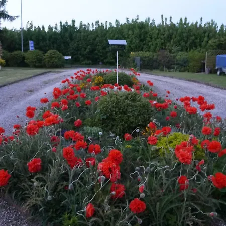 Jarek * ポビエロボ