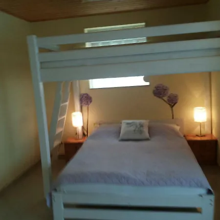 ホームステイ Jarek