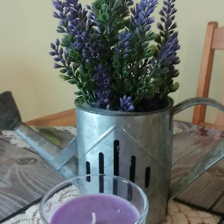 ホームステイ Jarek ポビエロボ