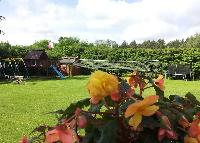 Jarek ホームステイ